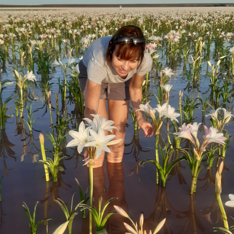 Sandhof Lilien Lilienblüte Namibia Maltahöhe